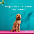 Blackmores PAW Sensitive Skin Conditioner 500ml bottle for dogs, designed to soothe and nourish sensitive skin with a gentle, hypoallergenic formula.