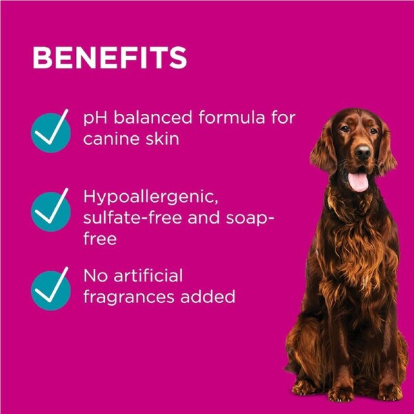 Blackmores PAW Sensitive Skin Conditioner 500ml bottle for dogs, designed to soothe and nourish sensitive skin with a gentle, hypoallergenic formula.