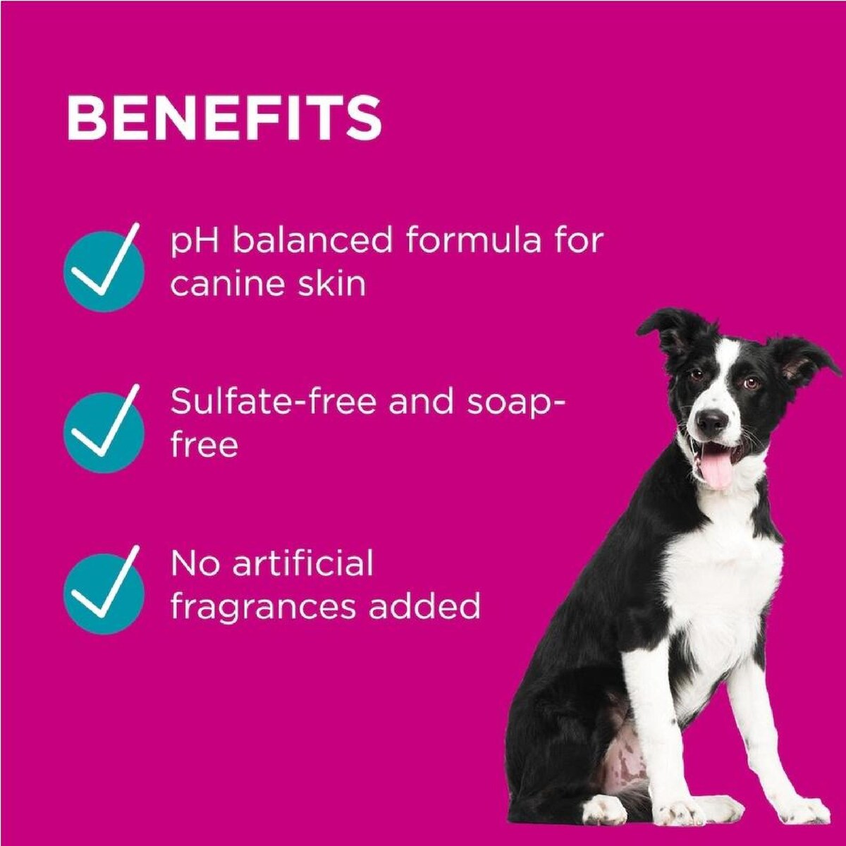 Blackmores Paw Conditioning and Grooming Spray Lavender & Jojoba 200ml for pets. A bottle with a lavender scent, designed to nourish, condition, and groom your pet’s coat, providing a shiny, healthy finish.