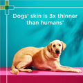 Blackmores PAW 2in1 Conditioning Shampoo 500ml for pets, nourishing and cleansing formula for healthy coat and skin.