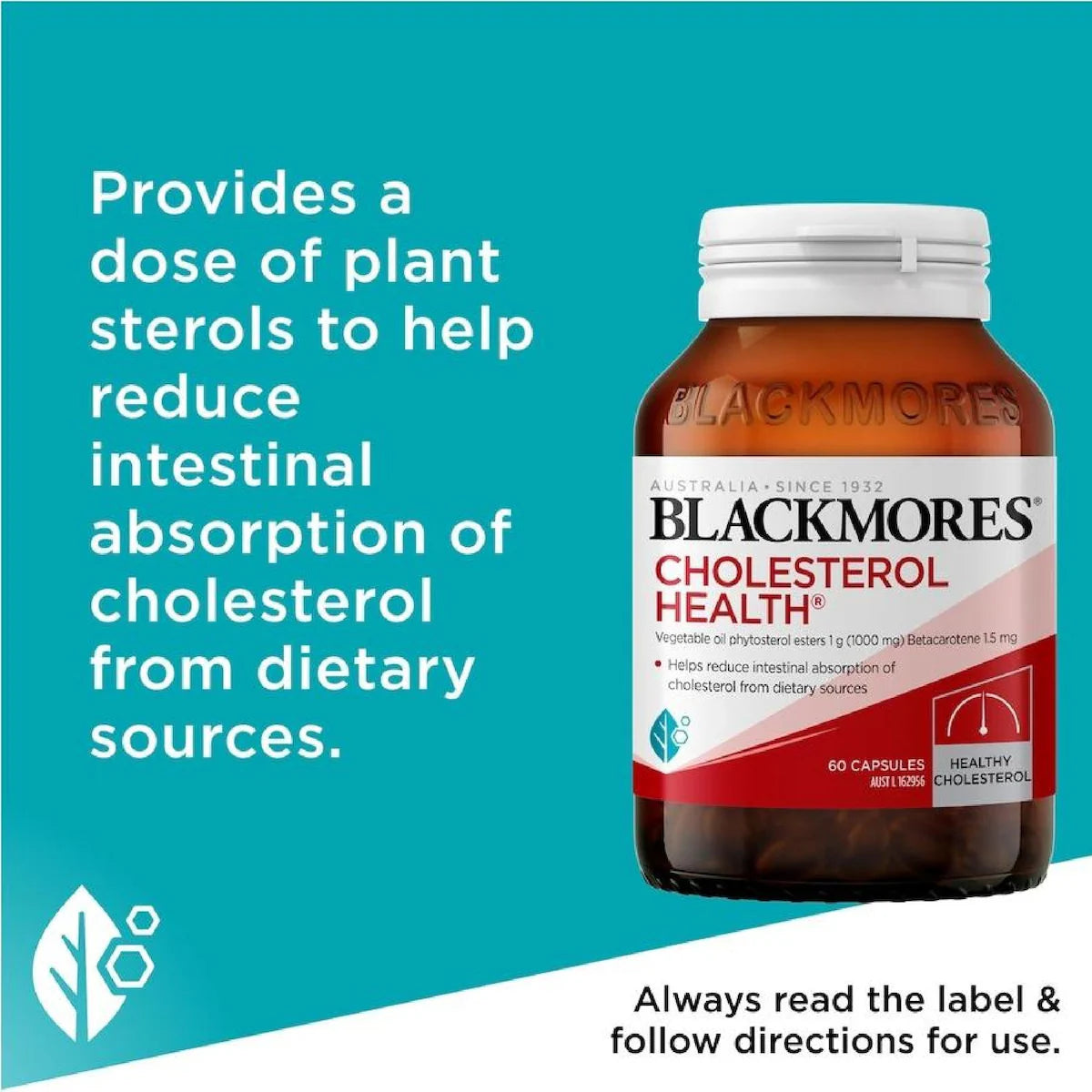 Blackmores Cholesterol Health 60 Capsules bottle with a green and white label, designed to support healthy cholesterol levels and heart health.