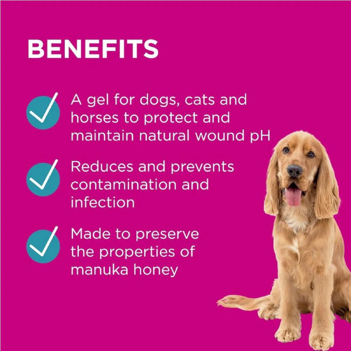 Blackmores PAW Manuka Wound Gel 25g for pet wound care, featuring natural manuka honey to promote healing and soothe skin irritation.