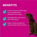 PAW by Blackmores Mediderm Gentle Medicated Shampoo 200ml for soothing and treating itchy, dry, and sensitive skin in pets