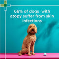 PAW by Blackmores Mediderm Gentle Medicated Shampoo 200ml for soothing and treating itchy, dry, and sensitive skin in pets