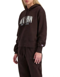 Champion Graphic Hoodie in Brown – Stylish casual pullover with bold logo design, premium fabric, and comfortable fit.