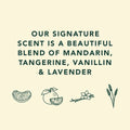 Text describing a signature scent blend with icons of mandarin, tangerine, vanillin, and lavender on a beige background.