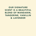 Text on a beige background describing a scent blend with Mandarin, Tangerine, Vanillin, and Lavender.